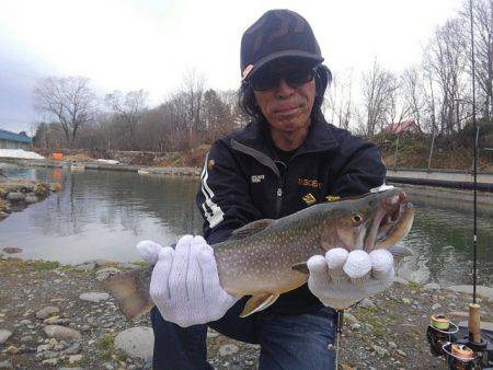 つりぼりあかし 釣果