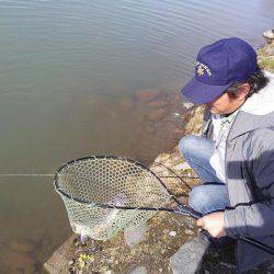 つりぼりあかし 釣果