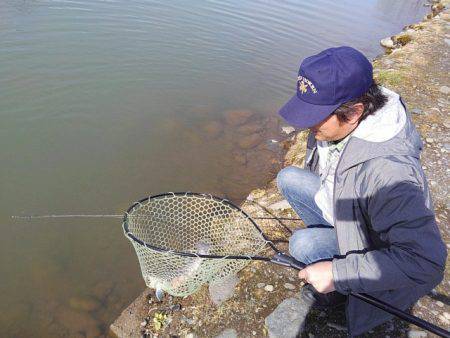 つりぼりあかし 釣果