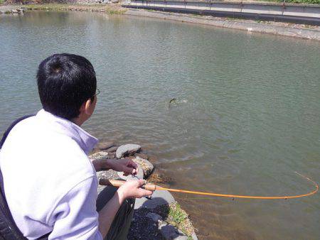 つりぼりあかし 釣果