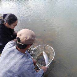 つりぼりあかし 釣果