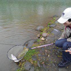 つりぼりあかし 釣果