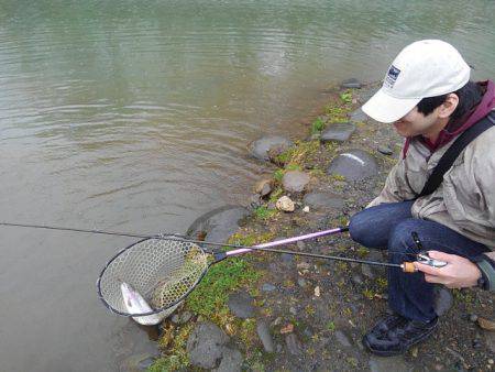 つりぼりあかし 釣果