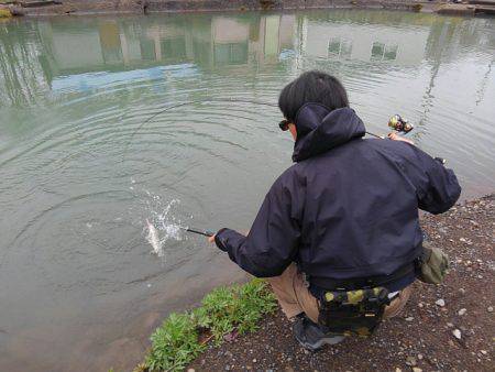 つりぼりあかし 釣果