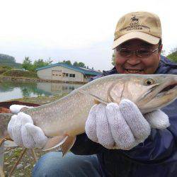 つりぼりあかし 釣果
