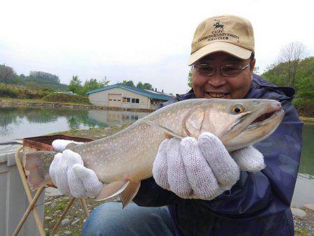 つりぼりあかし 釣果