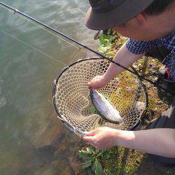 つりぼりあかし 釣果