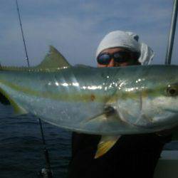 サンマリン 釣果