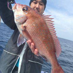 新幸丸 釣果