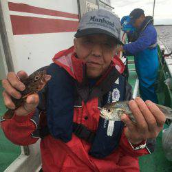 金沢八景鴨下丸 釣果