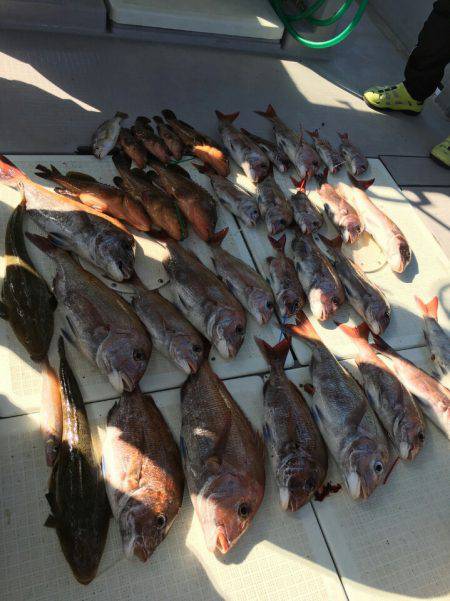 タイラバ遊漁船 ワンピース 釣果