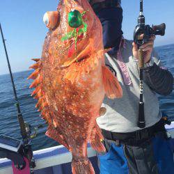 新幸丸 釣果