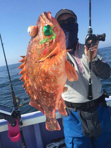 新幸丸 釣果