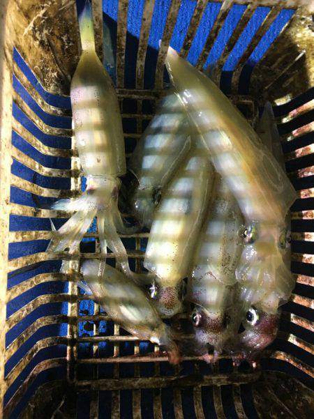 海龍丸（石川） 釣果