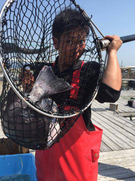 海の釣堀 海恵 釣果