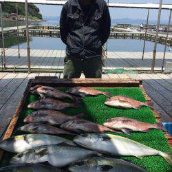 海の釣堀 海恵 釣果