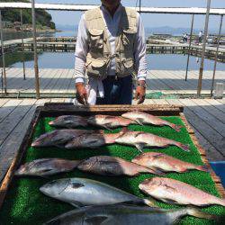 海の釣堀 海恵 釣果