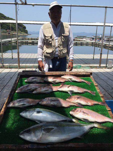 海の釣堀 海恵 釣果