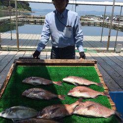 海の釣堀 海恵 釣果