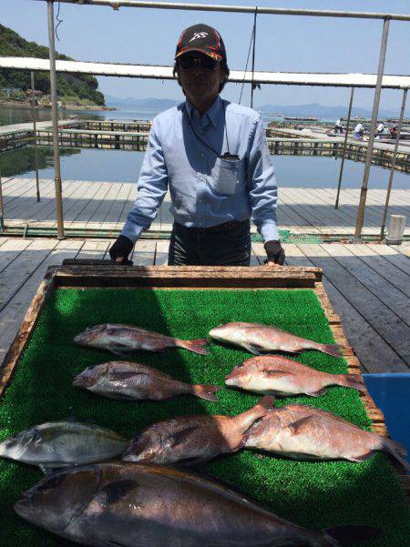 海の釣堀 海恵 釣果