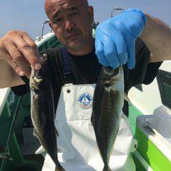 金沢八景鴨下丸 釣果