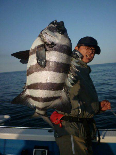 第三共栄丸 釣果