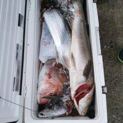 ありもと丸 釣果