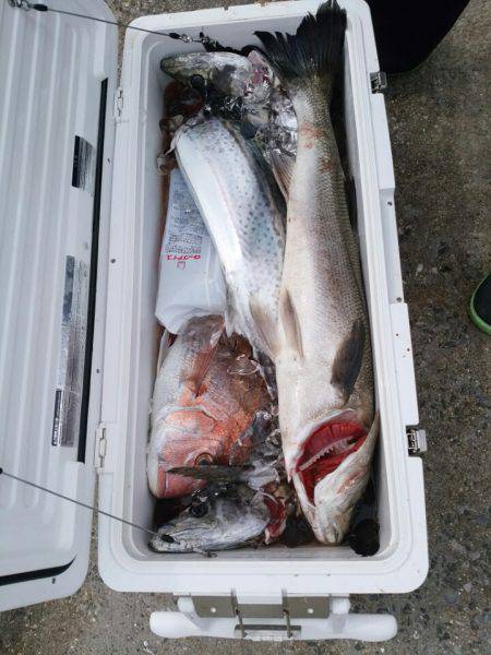 ありもと丸 釣果