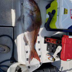 海龍丸（島根） 釣果