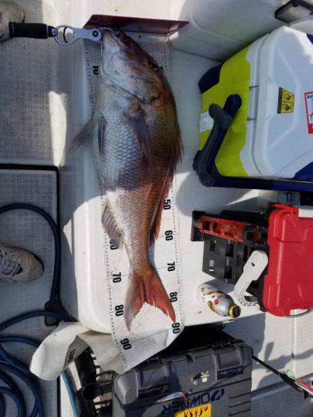 海龍丸（島根） 釣果