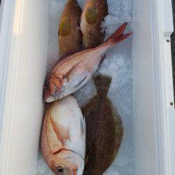 海龍丸（島根） 釣果