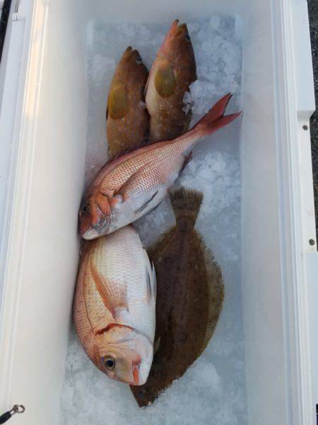 海龍丸（島根） 釣果