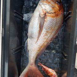 海龍丸（島根） 釣果