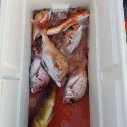 海龍丸（島根） 釣果