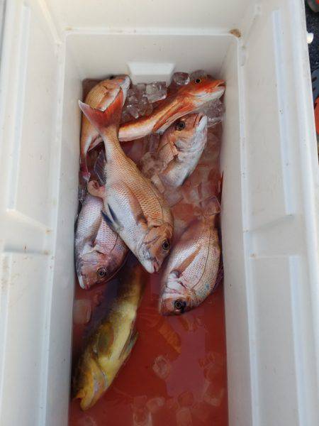 海龍丸（島根） 釣果