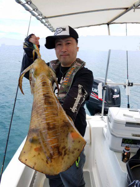 ソルトウォーターガイドフレンズ 釣果