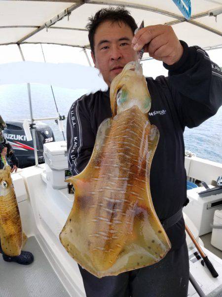 ソルトウォーターガイドフレンズ 釣果