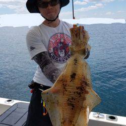 ソルトウォーターガイドフレンズ 釣果