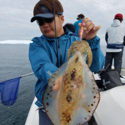 ソルトウォーターガイドフレンズ 釣果