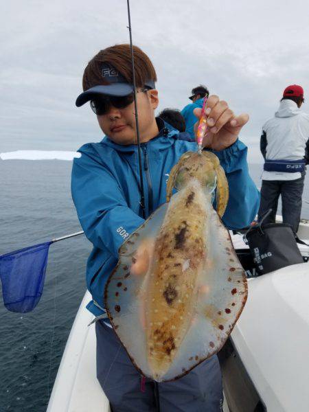 ソルトウォーターガイドフレンズ 釣果