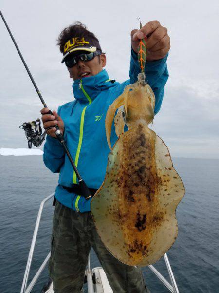 ソルトウォーターガイドフレンズ 釣果