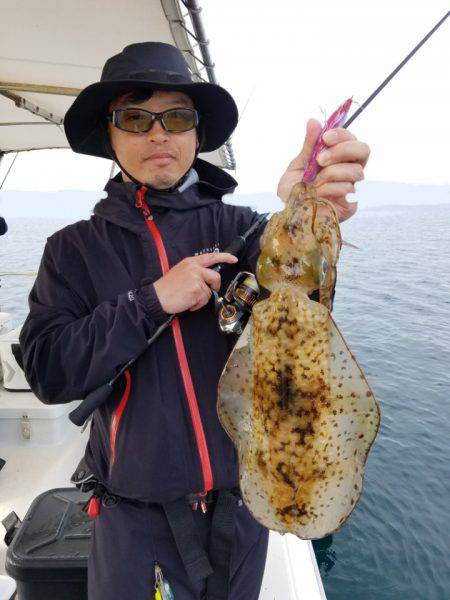 ソルトウォーターガイドフレンズ 釣果