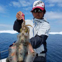 ソルトウォーターガイドフレンズ 釣果