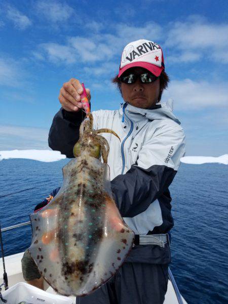 ソルトウォーターガイドフレンズ 釣果