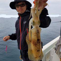 ソルトウォーターガイドフレンズ 釣果