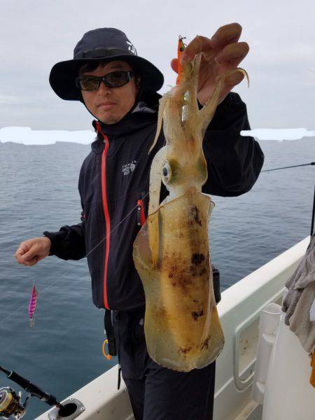 ソルトウォーターガイドフレンズ 釣果