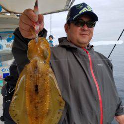 ソルトウォーターガイドフレンズ 釣果