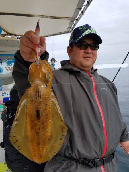 ソルトウォーターガイドフレンズ 釣果