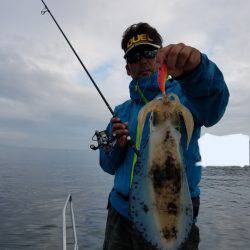 ソルトウォーターガイドフレンズ 釣果