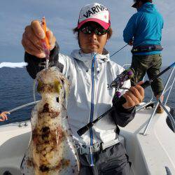 ソルトウォーターガイドフレンズ 釣果